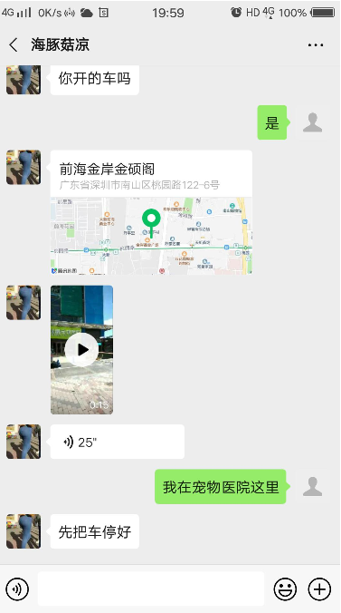 验证南山超大臀海豚